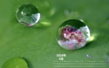 2016年4月日历绿色的水珠桌面壁纸