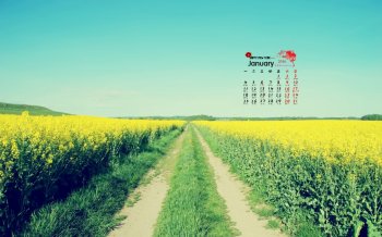 2016年1月日历唯美清新花卉桌面壁纸下载5