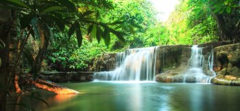 绿色森林 阳光 溪流 瀑布 泰国 风景桌面壁纸