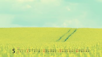 2013年5月日历桌面高清壁纸之精美清新绿色