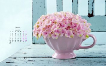 2016年2月日历精选粉色盆栽桌面壁纸图片下载