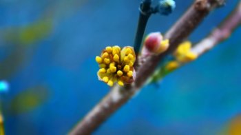 唯美自然风景高清电脑桌面壁纸下载