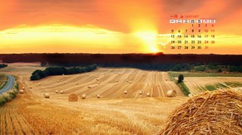 2015年1月日历壁纸清新养眼的大自然丰收草卷唯美图片下载第五辑