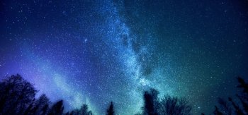 森林 树 神秘 银河系 星空2K桌面壁纸