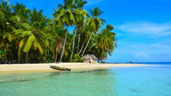 热带沙滩棕榈树大海风光壁纸