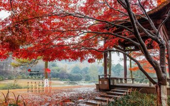 2016年1月日历精选唯美大自然风景桌面壁纸下载9