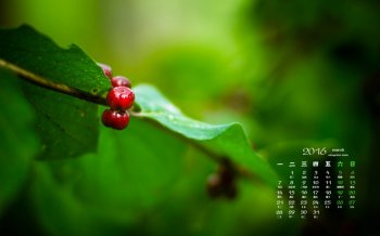 2016年3月日历翠绿樱桃清新绿色摄影唯美电脑桌面壁纸下载