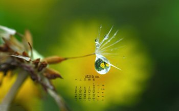 2016年1月日历清新护眼风景桌面壁纸图4下载