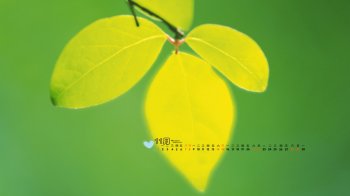 2015年11月日历绿色小清新护眼桌面壁纸1