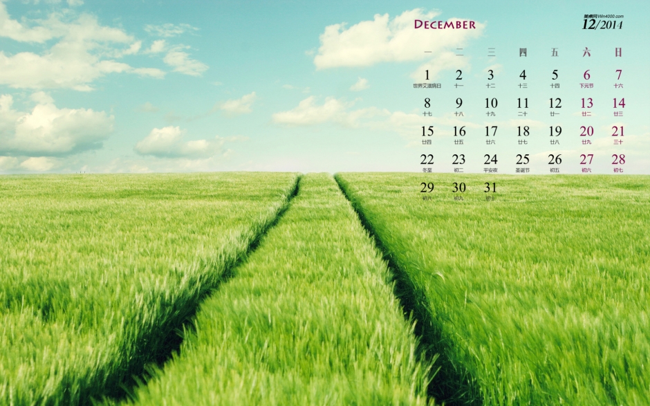 好新鲜的绿色的麦田唯美风光高清电脑桌面壁纸日历下载