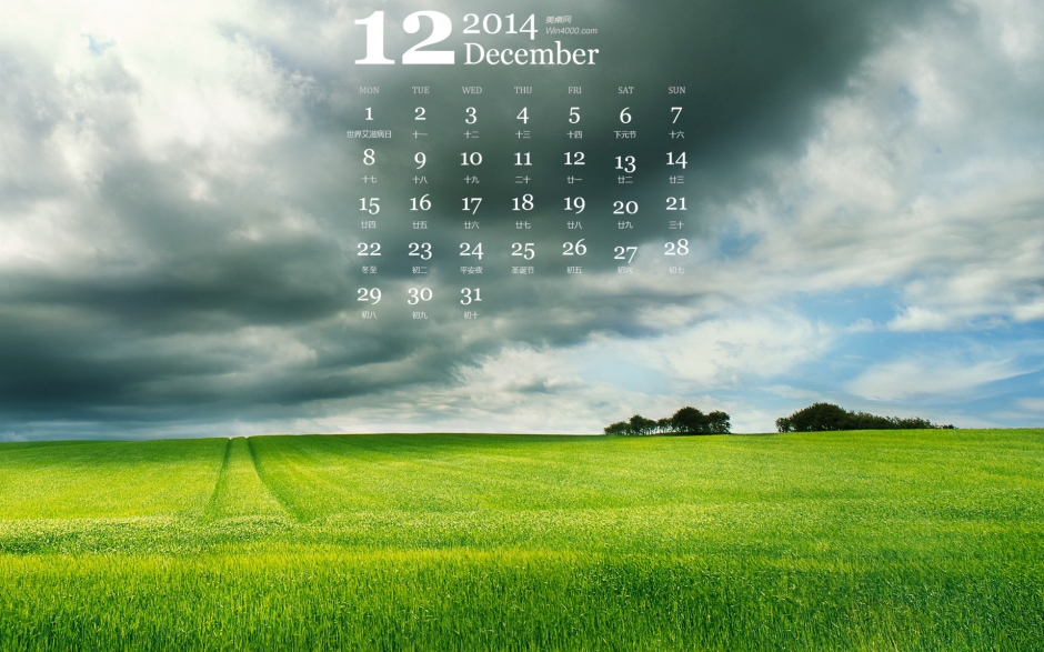 好新鲜的绿色的麦田唯美风光高清电脑桌面壁纸日历下载