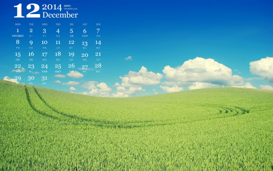 好新鲜的绿色的麦田唯美风光高清电脑桌面壁纸日历下载