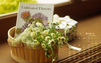 2016年1月日历静物小清新桌面壁纸下载