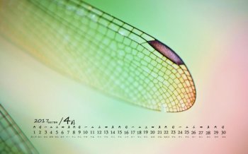 2017年4月清新的绿色植物电脑日历壁纸