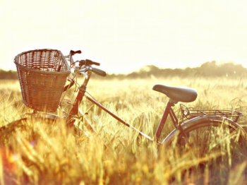 老式单车lomo风格图片壁纸大全