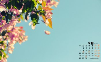 2015年9月日历唯美鲜花特写桌面壁纸图片下载