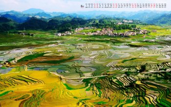 2016年6月日历梯田绿色风景高清壁纸