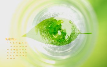 2015年9月日历精选杯中绿叶护眼电脑桌面壁纸下载
