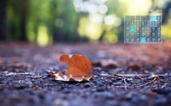 2014年11月月历电脑桌面壁纸