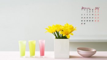 2017年2月简约室内花卉日历壁纸