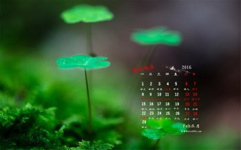 2016年2月日历护眼桌面壁纸