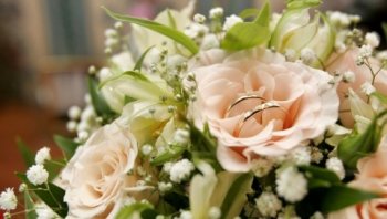 送你的情人节礼物