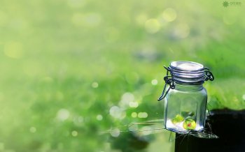 精美简约QQ空间图片