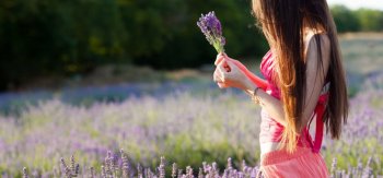 薰衣草,黑发动人美女,风景壁纸