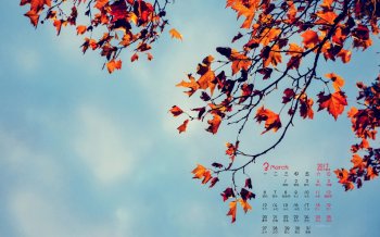 2017年3月唯美清新植物日历壁纸  第二辑