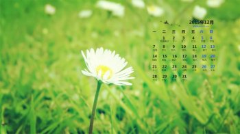 绿色壁纸日历高清唯美小清新绿色壁纸