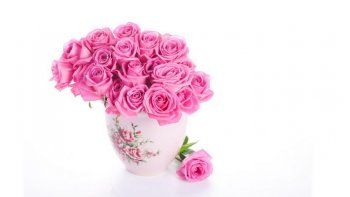 粉色玫瑰花宽屏壁纸大全