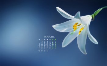 2016年3月日历简约花朵桌面壁纸