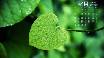 2015年4月日历到大自然做深呼吸唯美养眼植物高清电脑图片桌面壁纸