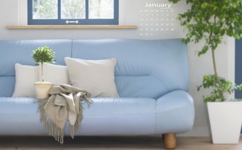 2017年1月室内绿色植物简约桌面日历壁纸  第三辑