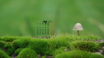 2015年10月日历翠绿苔藓小清新自然美景图电脑桌面壁纸下载