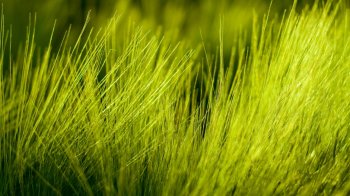 自然风光唯美风景高清电脑壁纸