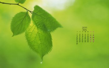 2016年2月日历桌面壁纸下载