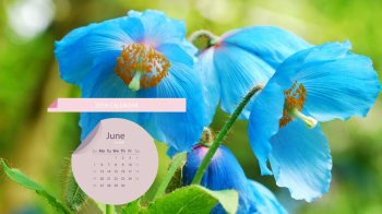 2016年6月日历蓝色的罂粟花壁纸
