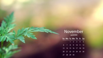 2016年11月日历小清新桌面壁纸