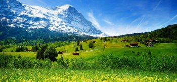 瑞士，山，冰川，峡谷，村庄，树木花草，森林图片，风景壁纸