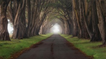 自然魅力高清绿色风景桌面壁纸 第一辑