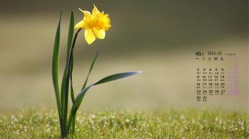 2016年5月日历唯美小清新春日桌面壁纸