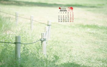 2016年1月日历精选护眼绿色桌面壁纸下载1