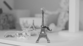 静物黑白摄影图片壁纸