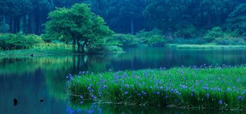 日本，滋贺县，高岛，湖泊，风景壁纸