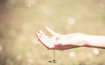 精选被风吹过的夏天桌面壁纸图片下载