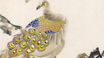 非常精细又温润的手绘国画鸟类图片欣赏