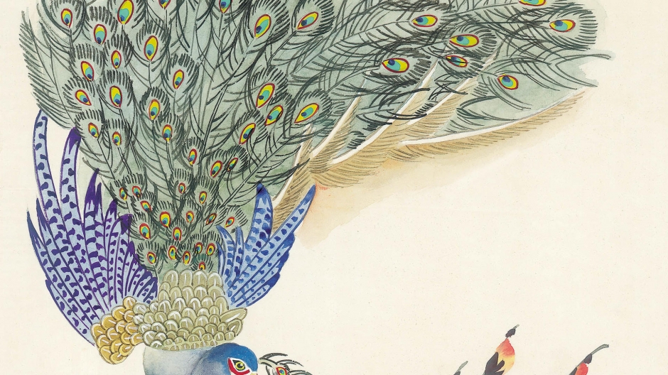 非常精细又温润的手绘国画鸟类图片欣赏