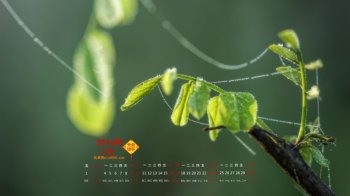 2016年1月日历清新护眼的电脑桌面壁纸下载