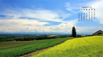 2016年4月日历精选春天草原唯美绿色风景桌面壁纸